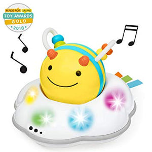 Explore & More Follow-me Bee 3-Stage Developmental Learning Crawl Toy